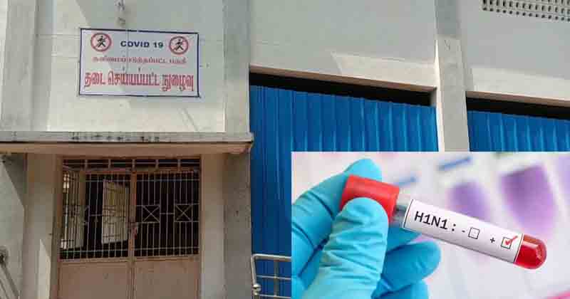 Swine Flu - Updatenews360