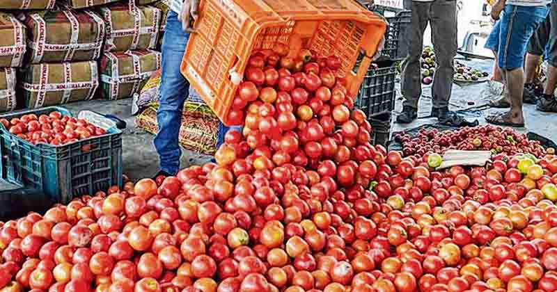 Tomato Rate - Updatenews360