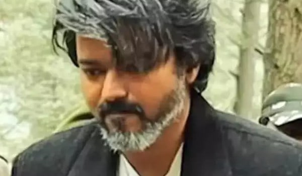 leo vijay