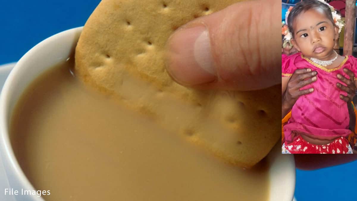 Tea Biscuit 